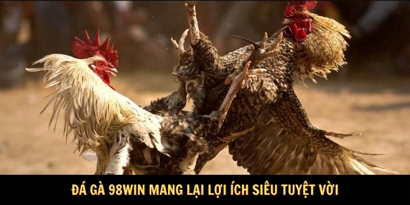 Đá gà 98WIN mang lại lợi ích siêu tuyệt vời