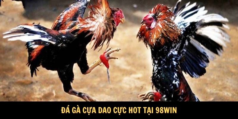 Đá gà cựa dao cực hot tại 98WIN